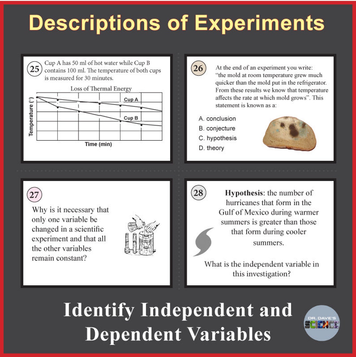 Scientific Method Task Cards - Etsy