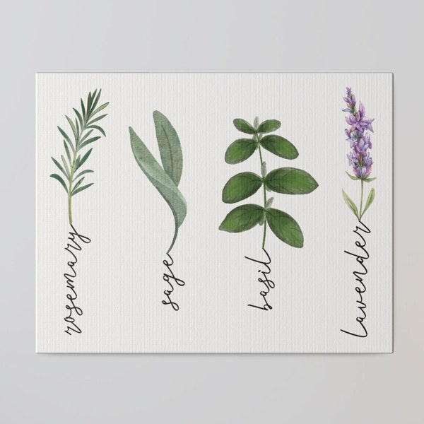 Vintage Kitchen Herbs Canvas, Botanical Matte Art Print, Herb Wall Art, Sage Kitchen Art, Herb Decor, Farmhouse Kitchen Decor, Lavender Gift