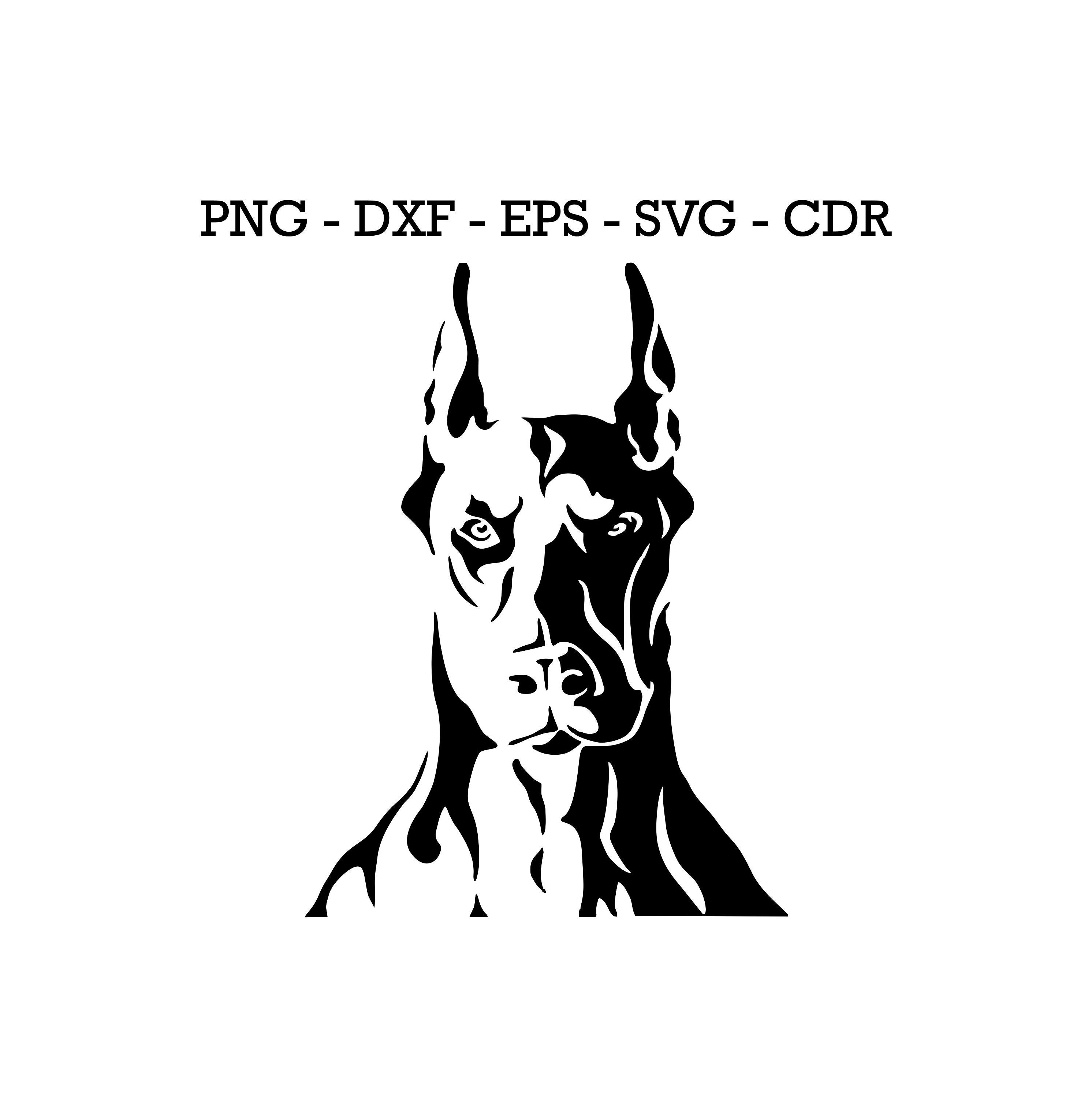 Doberman SVG Dog Head PNG Shirt Design Digital Cut Files - Etsy