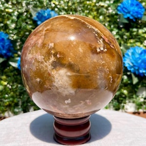Può includere: Una gemma sferica lucidata, che mostra una miscela di tonalità marroni, beige e bianche. Poggia su un supporto di legno rosso scuro. Lo sfondo include fogliame verde e fiori blu.