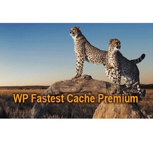 WP Fastest Cache Premium for wordpress with lifetime update