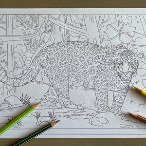 Coloring Page: Leopard | Instant Download | Unlimited Prints