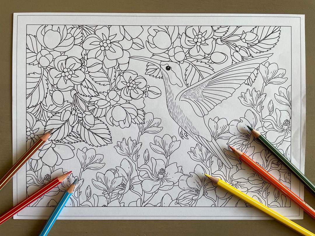 Coloring Page: Hummingbird | Instant Download | Unlimited Prints - Etsy