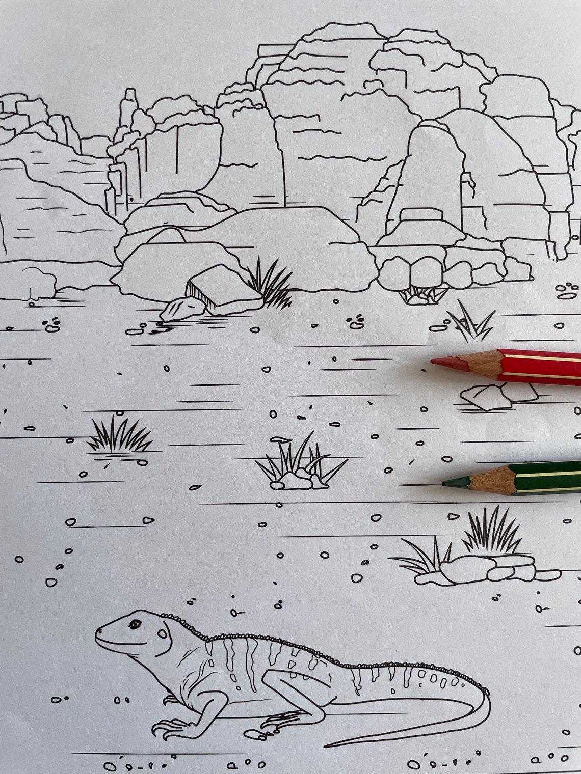 Outback Colouring Coloring Page: Outback | Instant Download | Unlimited Prints - Etsy ...