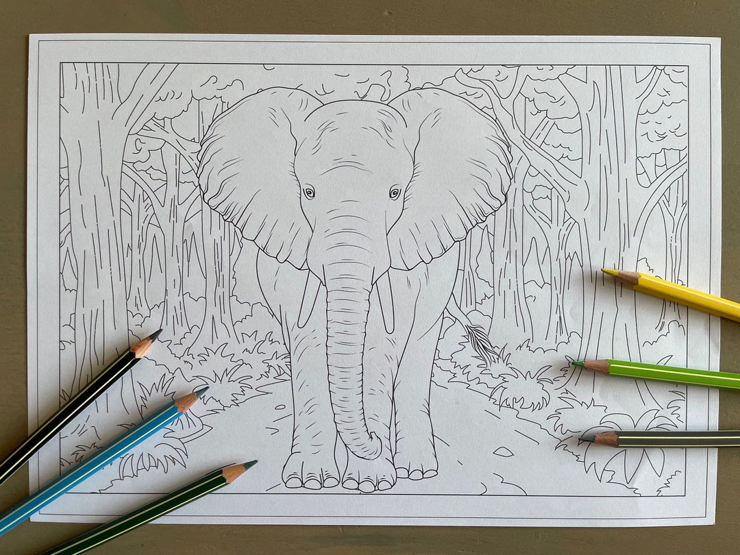 Coloring Page: Elephant | Instant Download | Unlimited Prints - Etsy