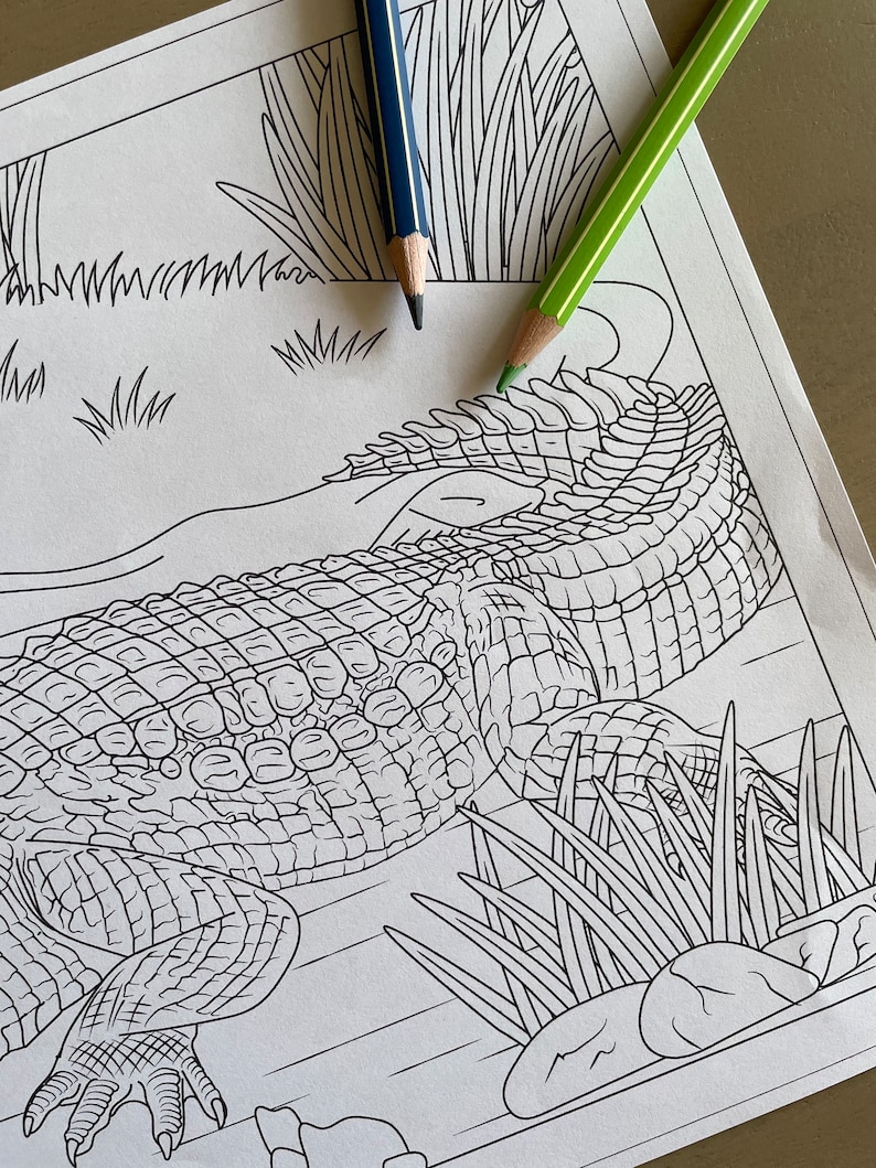 Coloring Page: Crocodile Instant Download Unlimited Prints - Etsy UK