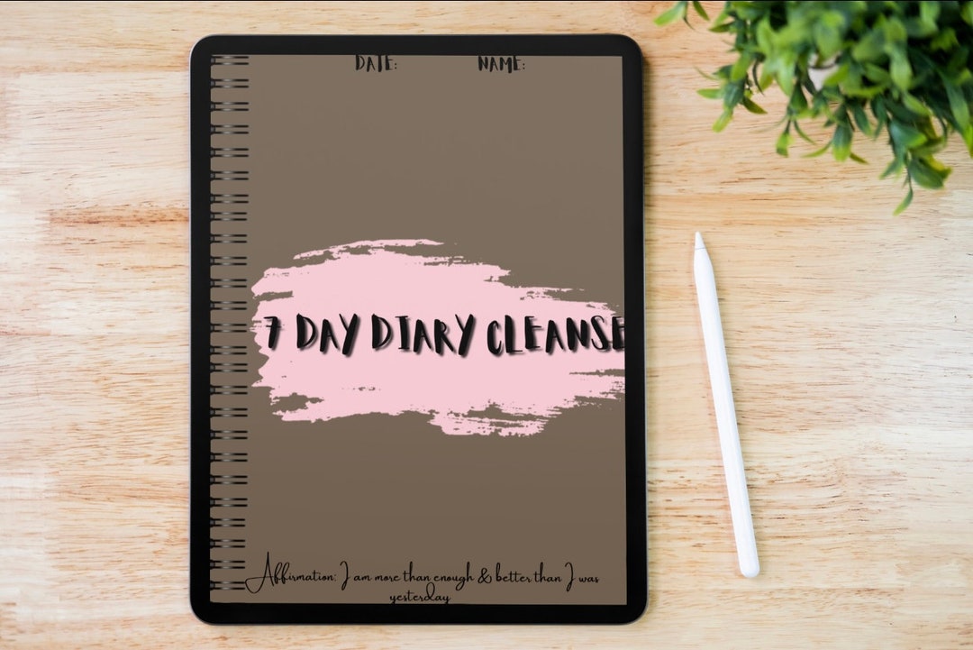 Daily Diary, Instant Download, Productivity Diary, Printable Diary - Etsy