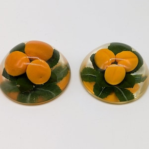 May include: Two circular cabochons made of clear resin, each featuring three small orange fruit shapes and several green leaves embedded inside. The resin has a smooth, domed surface, creating a polished appearance for these decorative items.