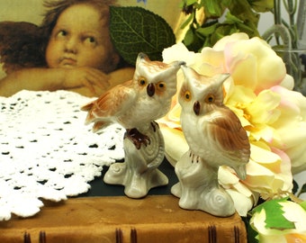 Könnte beinhalten: Zwei Eulenfiguren aus Keramik. Eine Eule sitzt auf einem Baumstumpf, die andere steht aufrecht. Die Eulen haben braune und weiße Federn, gelbe Augen, vor einem Hintergrund aus Blumen und einem Vintage-Gemälde.