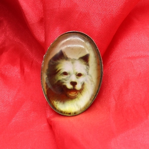 Vintage West Highland White Scottish Terrier Glas gewölbte Brosche Anstecknadel. Mitte des Jahrhunderts Hunde-Welpen-Schmuck-Brosche, Anstecknadel auf der Rückseite, unmarkiert, ca. 1960.