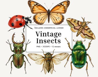 Vintage Insect Watercolor Clipart Bundle: Botanical Bug Illustrations (PNG Digital Download