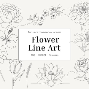 Paquete de arte lineal de flores / Dibujos de líneas continuas / Ilustraciones florales elegantes / Clipart PNG en blanco y negro