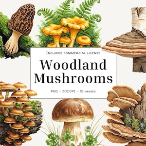 Conjunto de PNG de Cogumelos da Floresta – Clipart de Floresta Realista em Aquarela para Diários de Inúteis, Artesanato e Sublimação