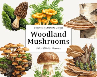 Waldpilz PNG Set - Aquarell Realistischer Wald Clipart für Junk Journals, Handwerk, Sublimation