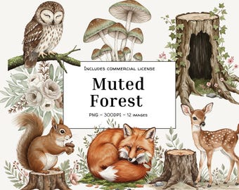 Watercolor Forest Animals Clipart: Fox, Deer, Owl, Rabbit (Digital Download PNGs)