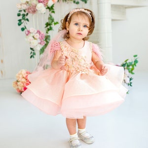 Peach First Birthday Dress, Baby Girl Party Dress Special Occasion, 1st Birthday Dress photo shooting, baby tutu, dress toddler, baby frock image 1