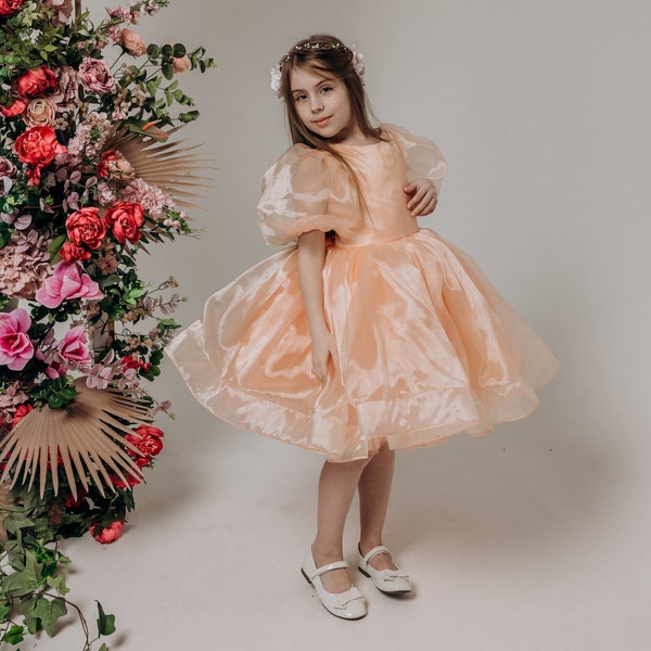 Robe Tutu Flower Girl, Robe de fille d’anniversaire, Robe Organza Prom Ball, Robe pour tout-petits, Robe d’anniversaire, Robe de bébé Cake Smash, Robe de demoiselle d’honneur