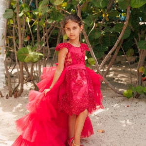 May include: A vibrant red dress featuring a high-low hemline, intricate floral lace embroidery on the bodice, and a voluminous layered tulle skirt. The garment includes cap sleeves, a defined waistline, and a long, flowing train of ruffled tulle.