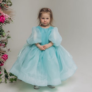 Handmade Organza Flower Girl Dress: Toddler Birthday Ball Gown