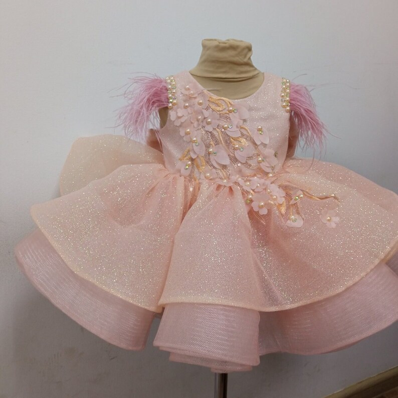 Peach First Birthday Dress, Baby Girl Party Dress Special Occasion, 1st Birthday Dress photo shooting, baby tutu, dress toddler, baby frock image 5