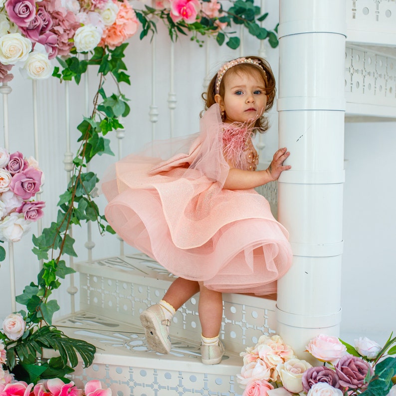 Peach First Birthday Dress, Baby Girl Party Dress Special Occasion, 1st Birthday Dress photo shooting, baby tutu, dress toddler, baby frock image 3