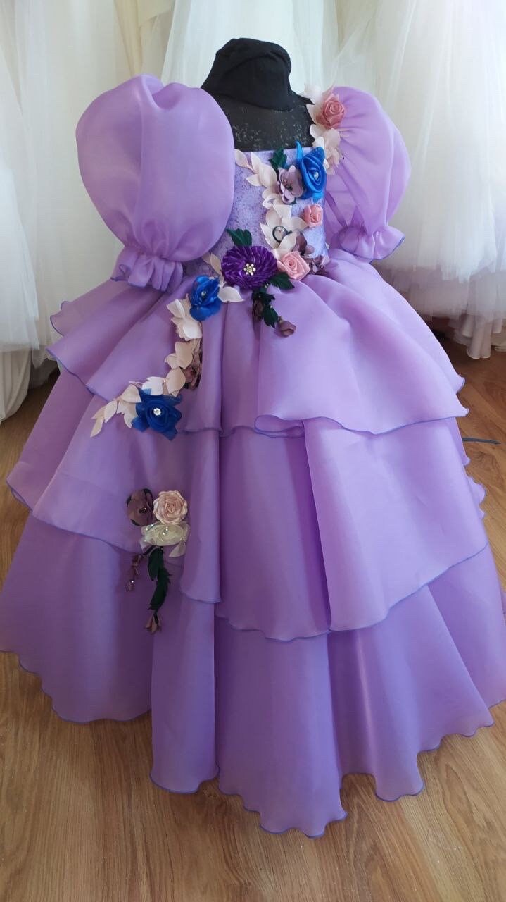 encanto pink dress Encanto "Isabella" Deluxe Dress