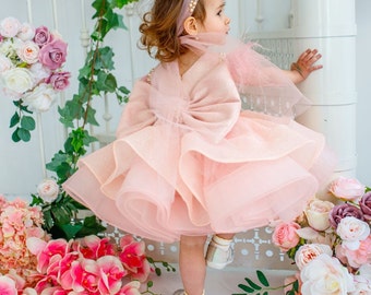 Blush Flower Girl Dress with Big Bow, Tulle Princess Dress, Baby Girl Party Dress, Wedding Toddler Dress, Elegant Girls Dress