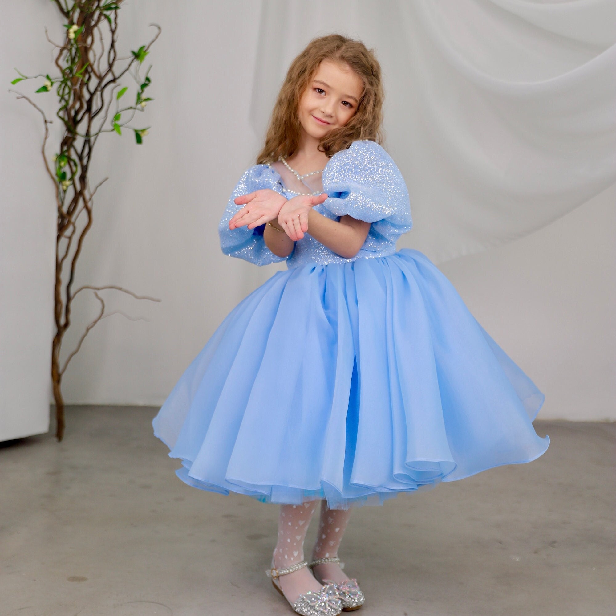 Blue Organza Birthday Tutu Dress: Sparkly Bodice Flower Girl