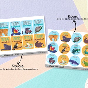 ExoticLand | Waterproof Labels | Colombia