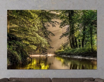 Forest wall art, Room decor, River in the forest photography print, Green wall art, Canvas wall art, Ready to hang, Free shipping