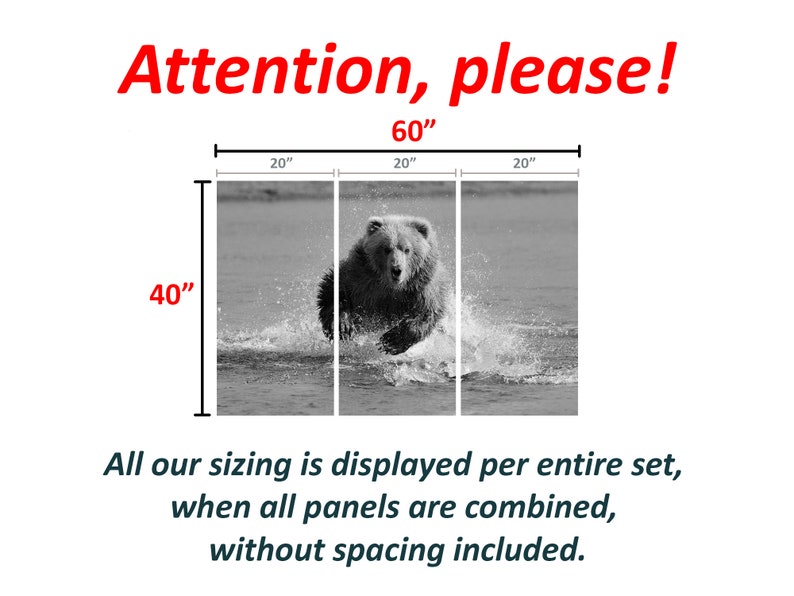 K&ouml;nnte beinhalten: Ein schwarz-wei&szlig;es Triptychon mit einem B&auml;ren, der durch Wasser rennt. Das Kunstwerk ist 152 cm breit und 102 cm hoch. Der Text oben lautet "Attention, please!" in Rot, und darunter "All our sizing is displayed per entire set, when all panels are combined, without spacing included."