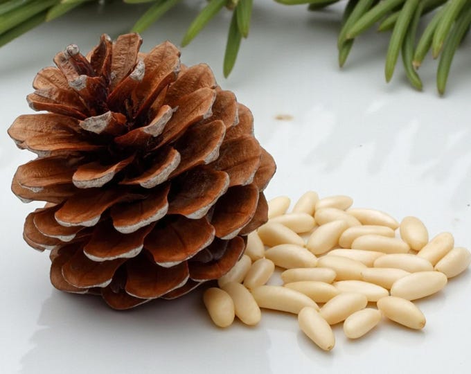 Natural Raw Pine Nuts,  Excellent Taste and High Nutritional Value, Premium Nuts, Vegan