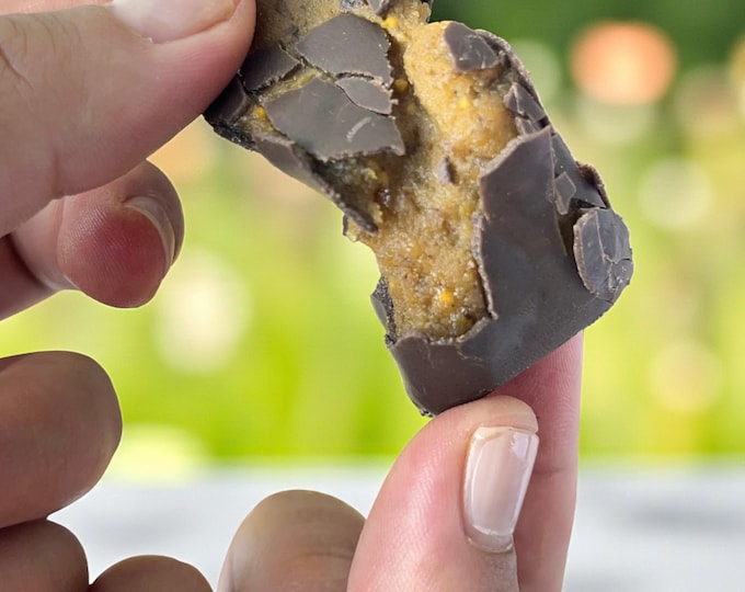 Chocolate Covered Figs - A Luxurious Treat for Fruit and Chocolate Lovers