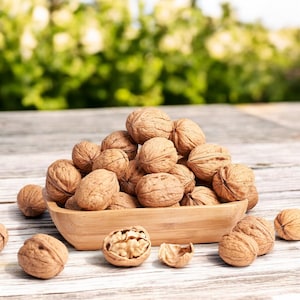 Natural Whole Walnuts with Shell, A Delicious and Nutritious Superfood