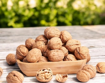 Natural Whole Walnuts with Shell, A Delicious and Nutritious Superfood