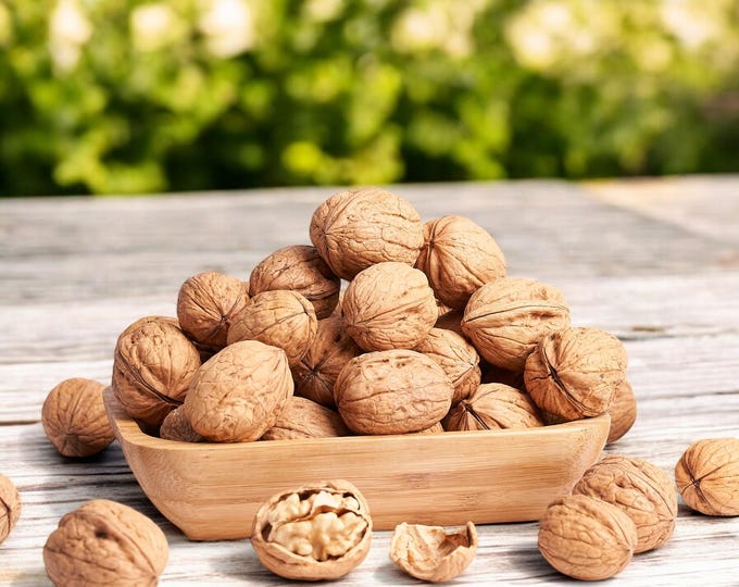 Natural Whole Walnuts with Shell, A Delicious and Nutritious Superfood