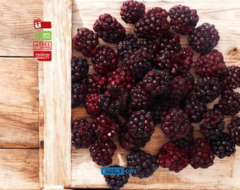 Freeze-Dried Blackberries, Crunchy & Delicious, Perfect Vegan Gift
