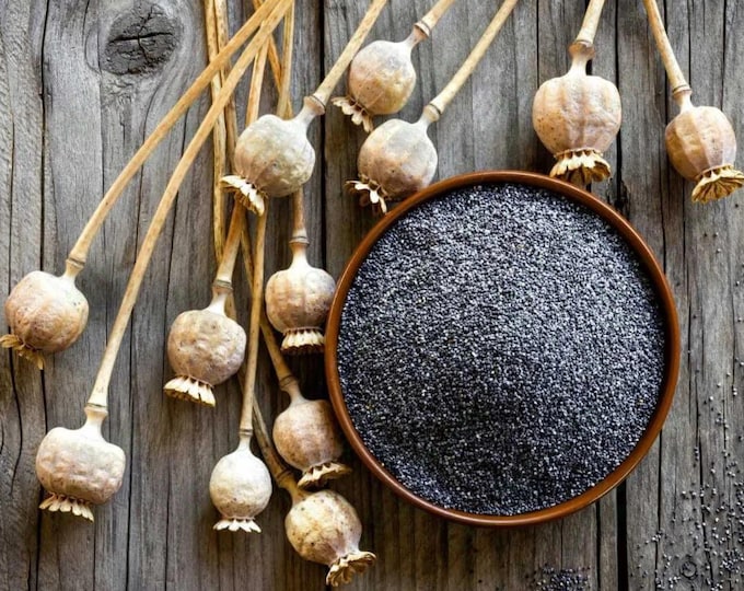 Natural Blue Poppy Seeds – Rich in Flavor, Perfect for Homemade Treats