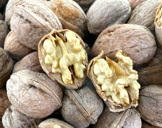 Fresh In-Shell Walnuts 1kg: New Crop Brown Shell Pack