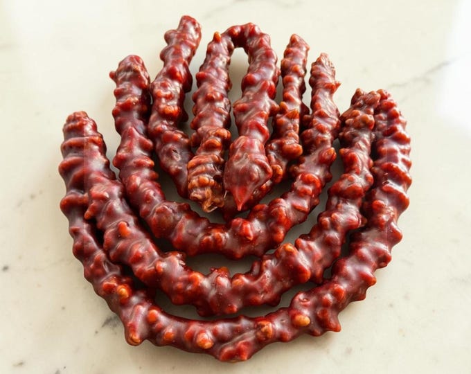 Sour Cherry Walnut Orcik, Turkish Walnut Sweet, Traditional Anatolian Dessert