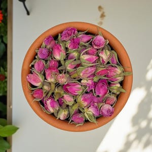 Getrocknete Rosenknospen: Aromatischer Tee, Kunsthandwerk und Geschenke