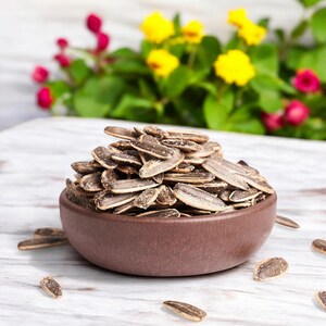Roasted Black Salted Sunflower Seeds, Perfect for Snacking Anytime