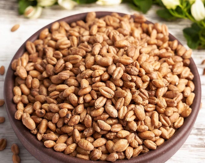Crunchy Roasted Wheat, Perfect for Healthy Snacking or Baking Recipes