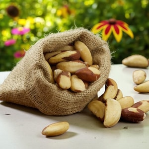 Nueces de Brasil orgánicas: un snack gourmet rico en nutrientes