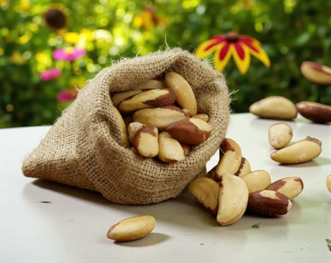 Organic Brazilian Nuts: Nutrient-Rich Gourmet Snack