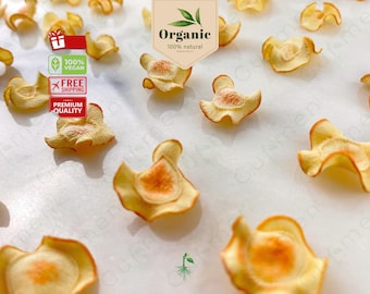 Dried Carrot Slices, Suitable for Ornamental and Food Use, No Sugar Additive, Vegan, Carrot Chips