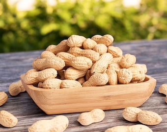 Whole Peanuts in Shell, High-Quality Natural Snack for Health-Conscious Nut Lovers