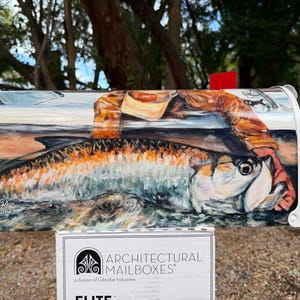 May include: White mailbox with a painted illustration of a large fish being caught. The artwork features shades of blue, orange, and brown, with a depiction of a person's arm and a boat in the background. The mailbox is labeled "ARCHITECTURAL MAILBOXES."