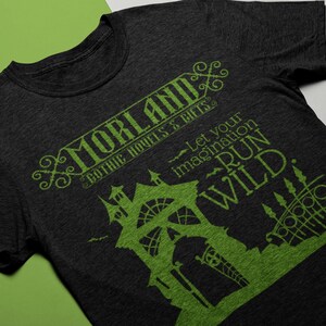 Morland Gothic Novels and Gifts, Northanger Abbey shirt, funny Jane Austen Shirt, Jane Austen humor, gift for reader, Jane Austen gift