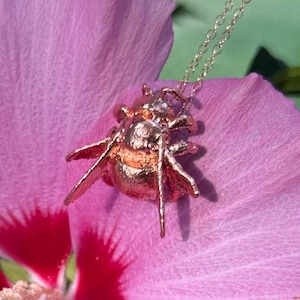 Real Bumblebee Necklace | Handmade From a Real Bee | Gift for Insect Lover | Unique Natural Jewelry | Creepy Crawly Pendant